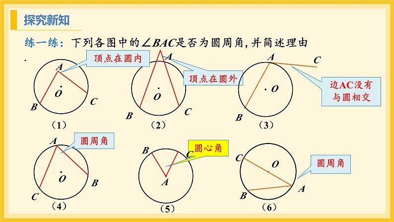 北师大版数学九年级下册 3.4 圆周角和圆心角的关系第1课时（课件）第6页