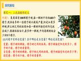 北师大版数学九年级下册 2.1 二次函数（课件）