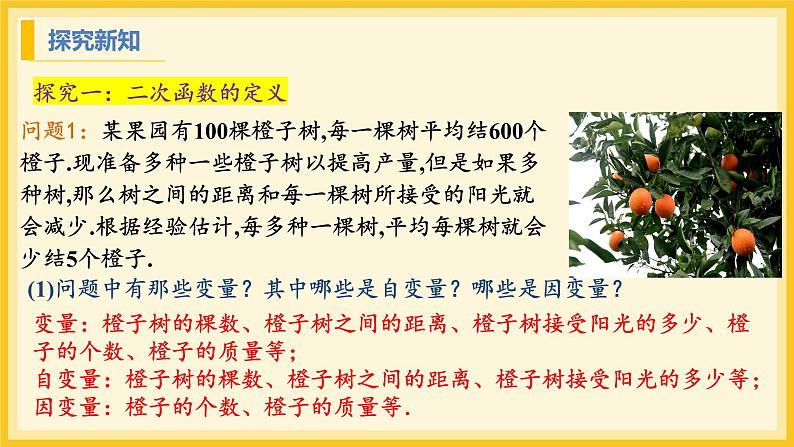 北师大版数学九年级下册 2.1 二次函数（课件）第5页