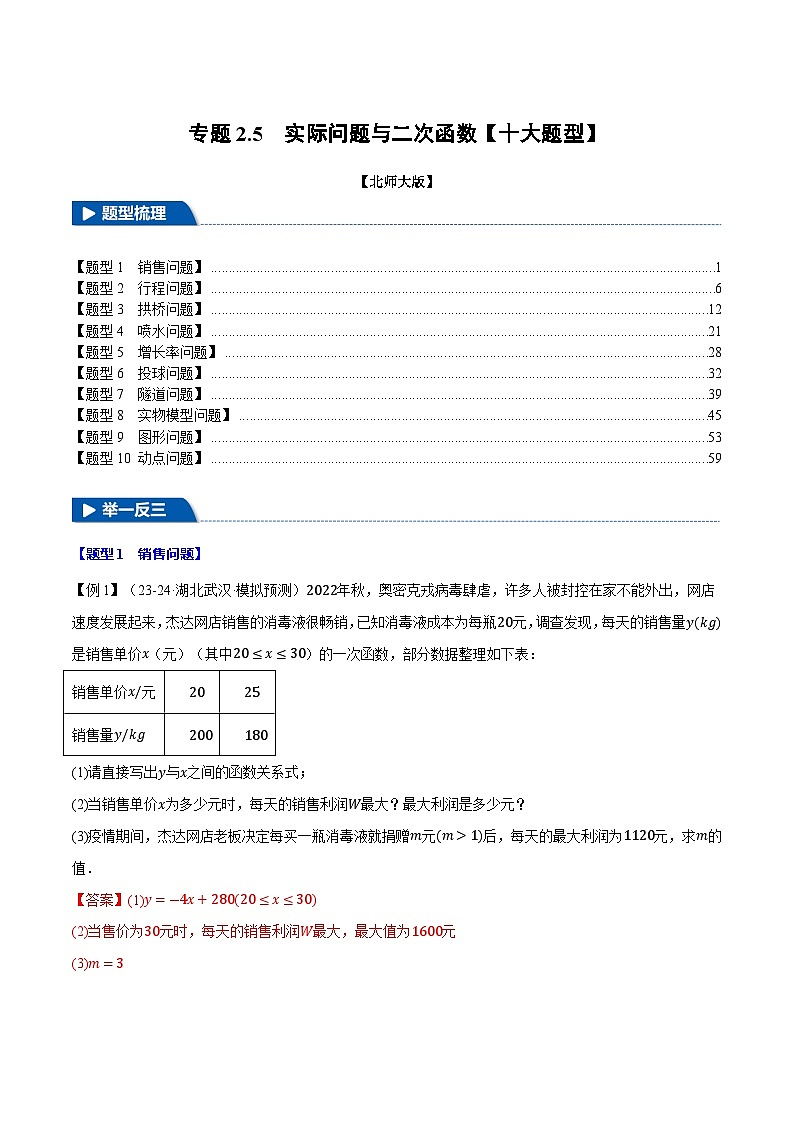 专题2.5 实际问题与二次函数【十大题型】练习（北师大版）（解析版）第1页
