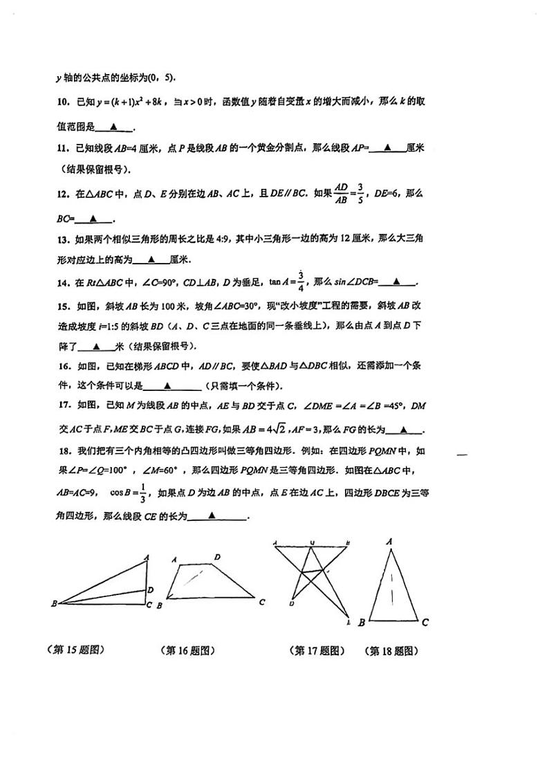 2024～2025学年上海市文来中学九年级(上)数学12月月考试卷(无答案)第2页