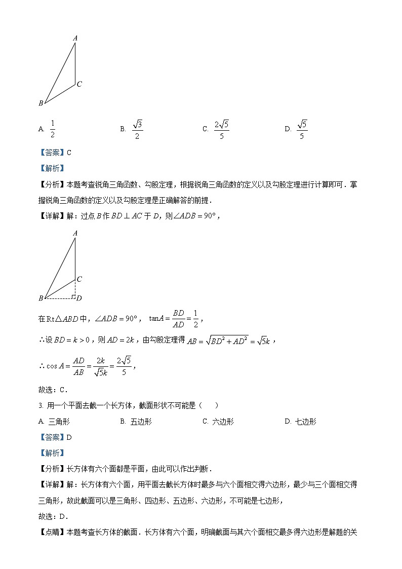 山东省泰安市肥城市2024-2025学年九年级上学期11月期中考试数学试题(1)（解析版）-A4第2页