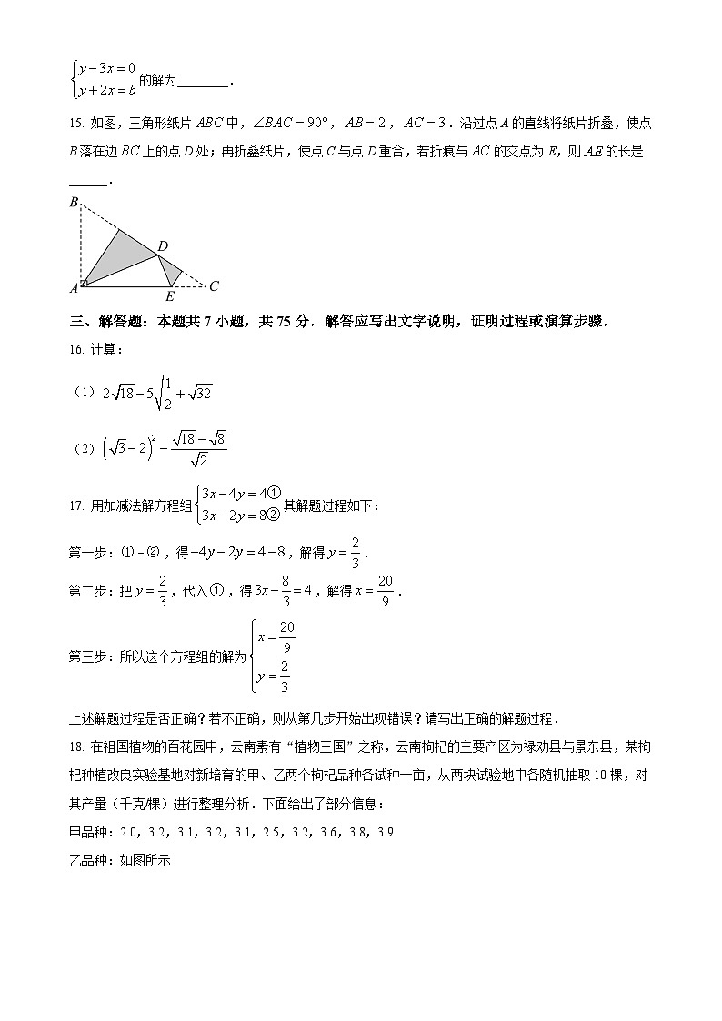 河南省郑州枫杨外国语学校2023-2024学年八年级上学期第二次月考数学试题（原卷版）-A4第3页