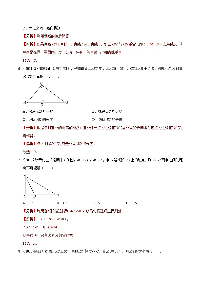 人教版数学七下同步培优训练专题5.2相交线（2）垂线（解析版）第3页