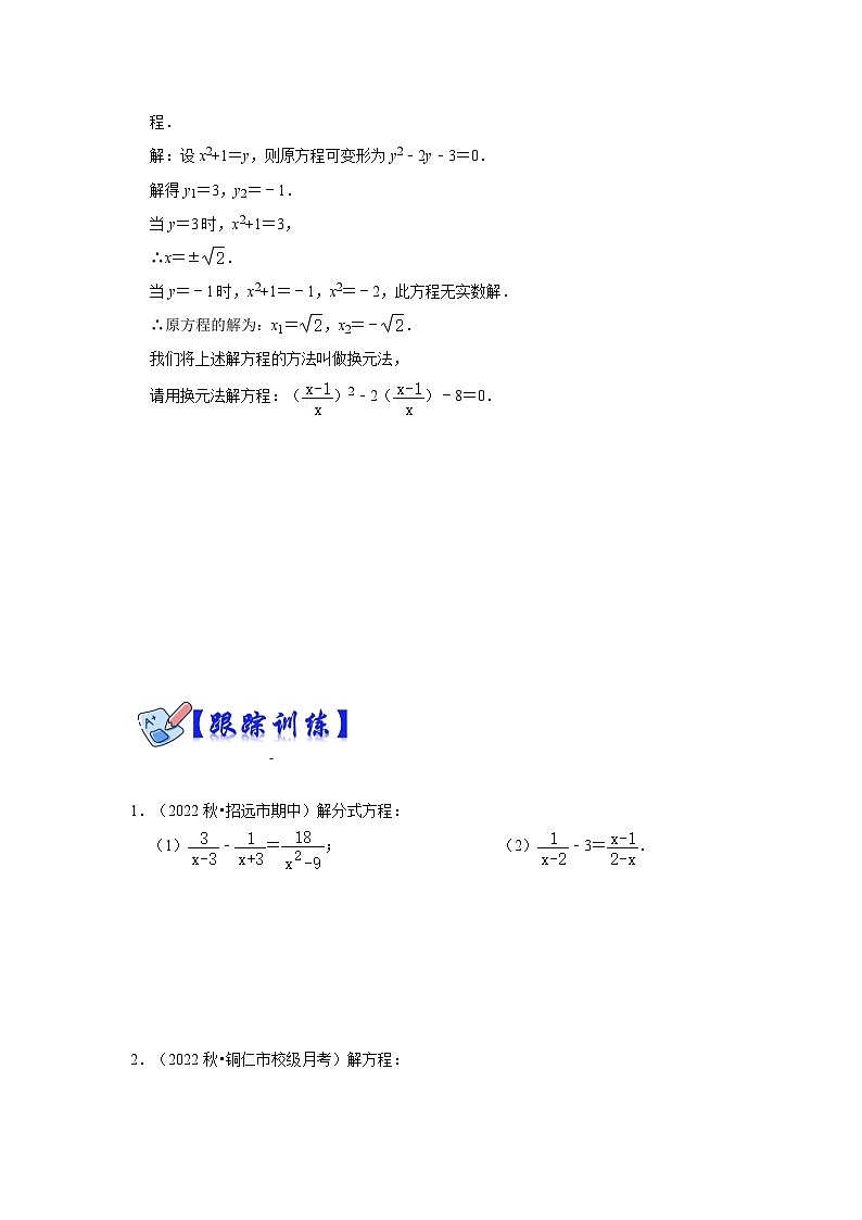 人教版数学八上高分突破训练专项25  解分式方程（两大类型）（原卷版）第3页