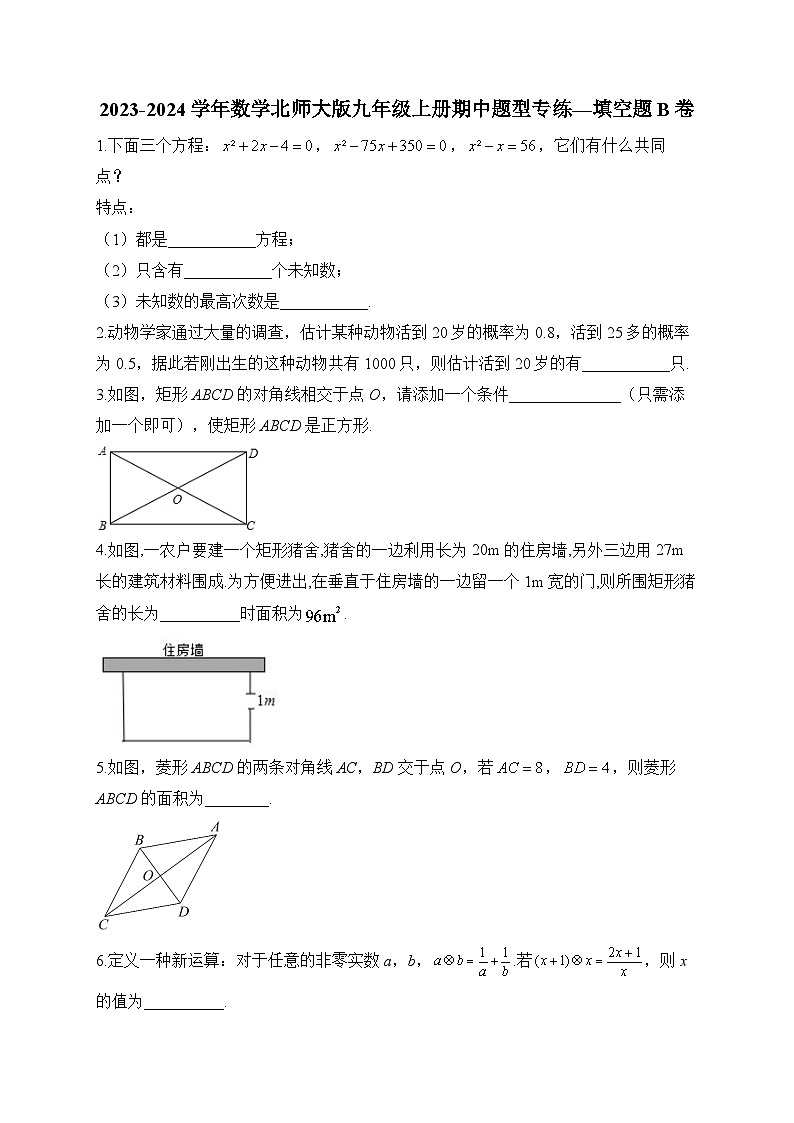 2023-2024学年数学北师大版九年级上册期中题型专练—填空题B卷(含答案)第1页