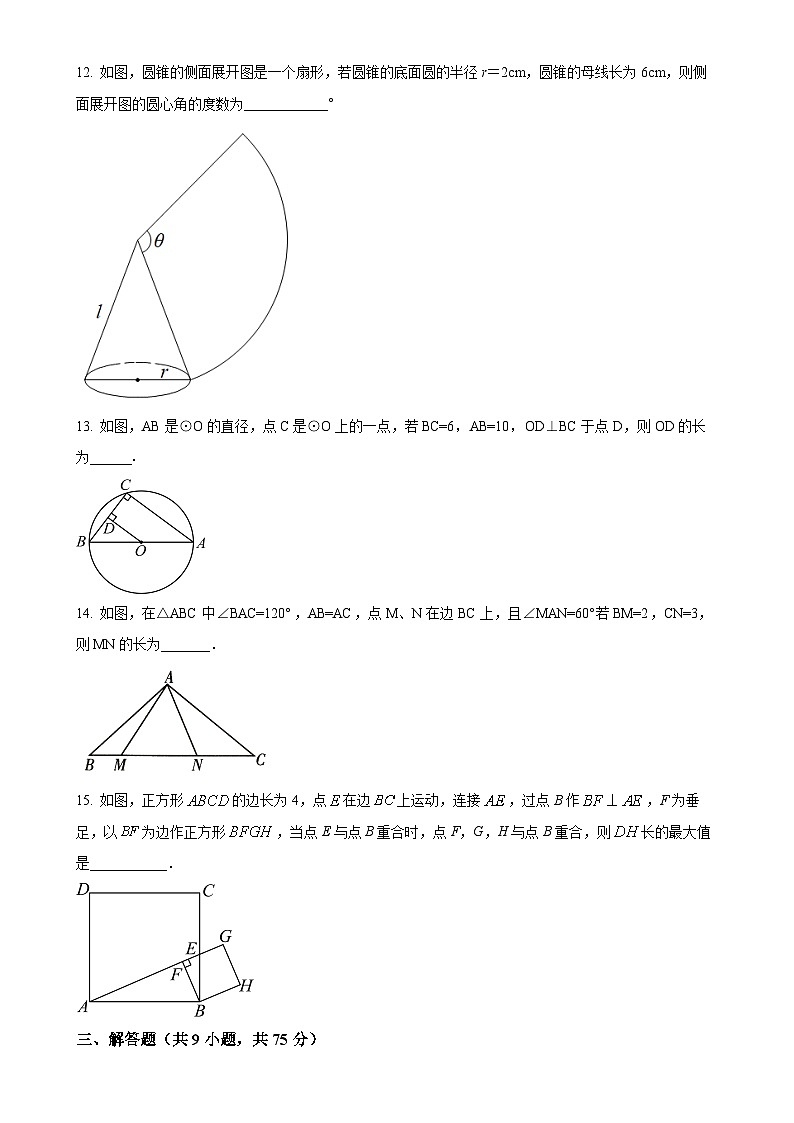 湖北省随州市随县四校联考2024-2025学年九年级上学期11月月考数学试题（原卷版）-A4第3页