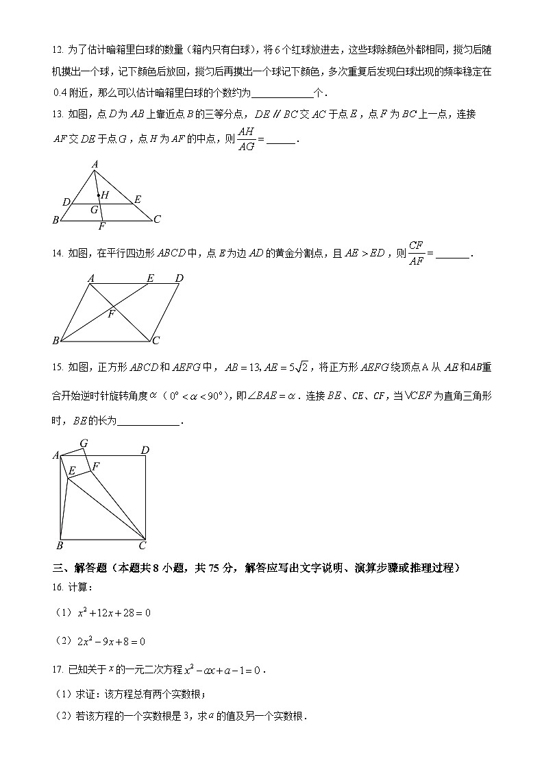 辽宁省沈阳市南昌中学2024-2025学年九年级上学期10月月考数学试卷（原卷版）-A4第3页
