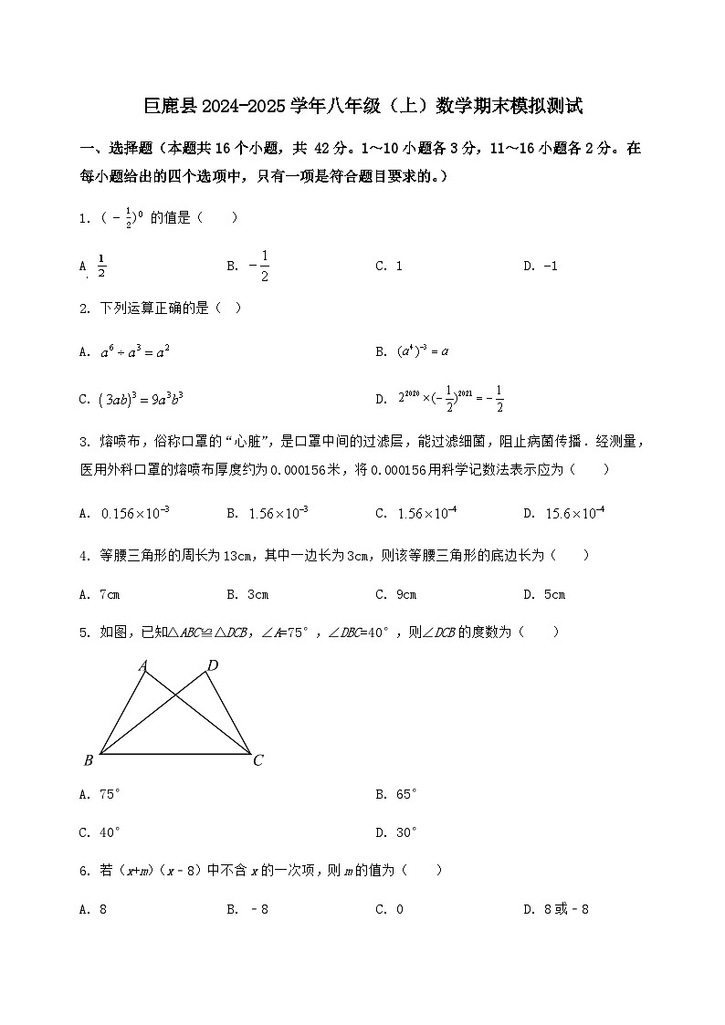 河北省巨鹿县2024-2025学年八年级（上）数学期末模拟测试（含答案及详解）第1页