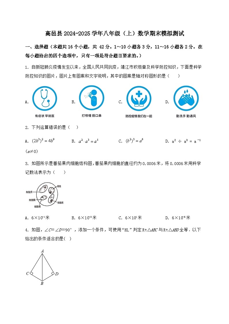 河北省高邑县2024-2025学年八年级（上）数学期末模拟测试（含答案及详解）第1页
