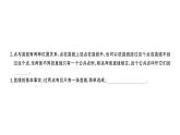 初中數(shù)學新湘教版七年級上冊4.2第1課時 線段、射線、直線課堂作業(yè)課件2024秋