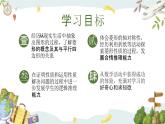 浙教版八年级下册数学 第20课时《菱形的性质》课件+练习