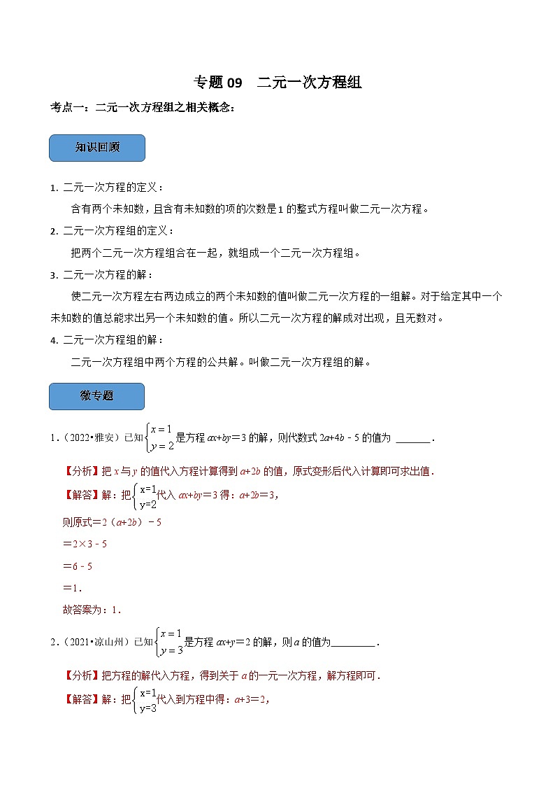 中考数学一轮复习考点题型训练专题09 —二元一次方程组（解析版）第1页