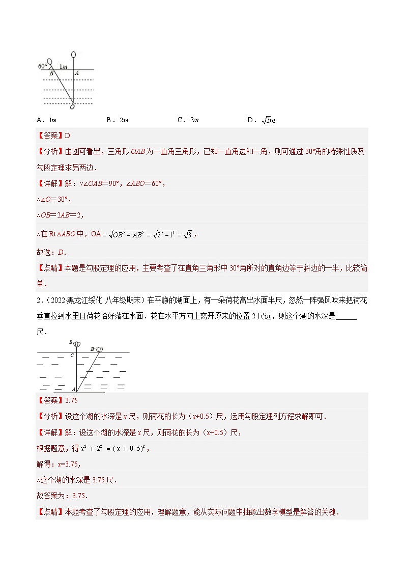 中考数学二轮复习几何模拟专项讲练模型25 勾股定理——出水芙蓉模型-解析版第2页