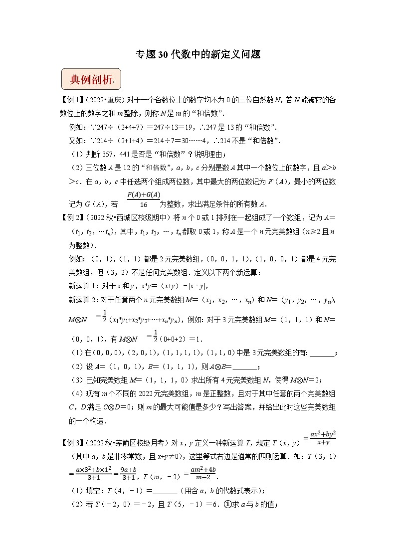 中考数学二轮复习压轴题培优训练专题30代数中的新定义问题（原卷版）第1页
