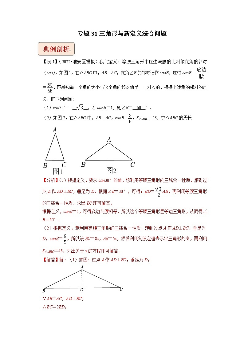 中考数学二轮复习压轴题培优训练专题31三角形与新定义综合问题（解析版）第1页
