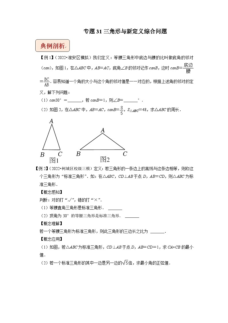 中考数学二轮复习压轴题培优训练专题31三角形与新定义综合问题（原卷版）第1页