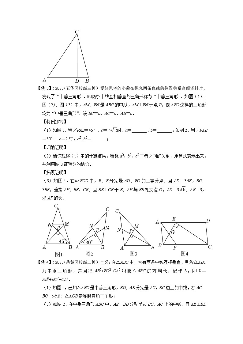 中考数学二轮复习压轴题培优训练专题31三角形与新定义综合问题（原卷版）第2页