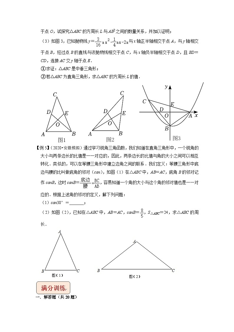 中考数学二轮复习压轴题培优训练专题31三角形与新定义综合问题（原卷版）第3页