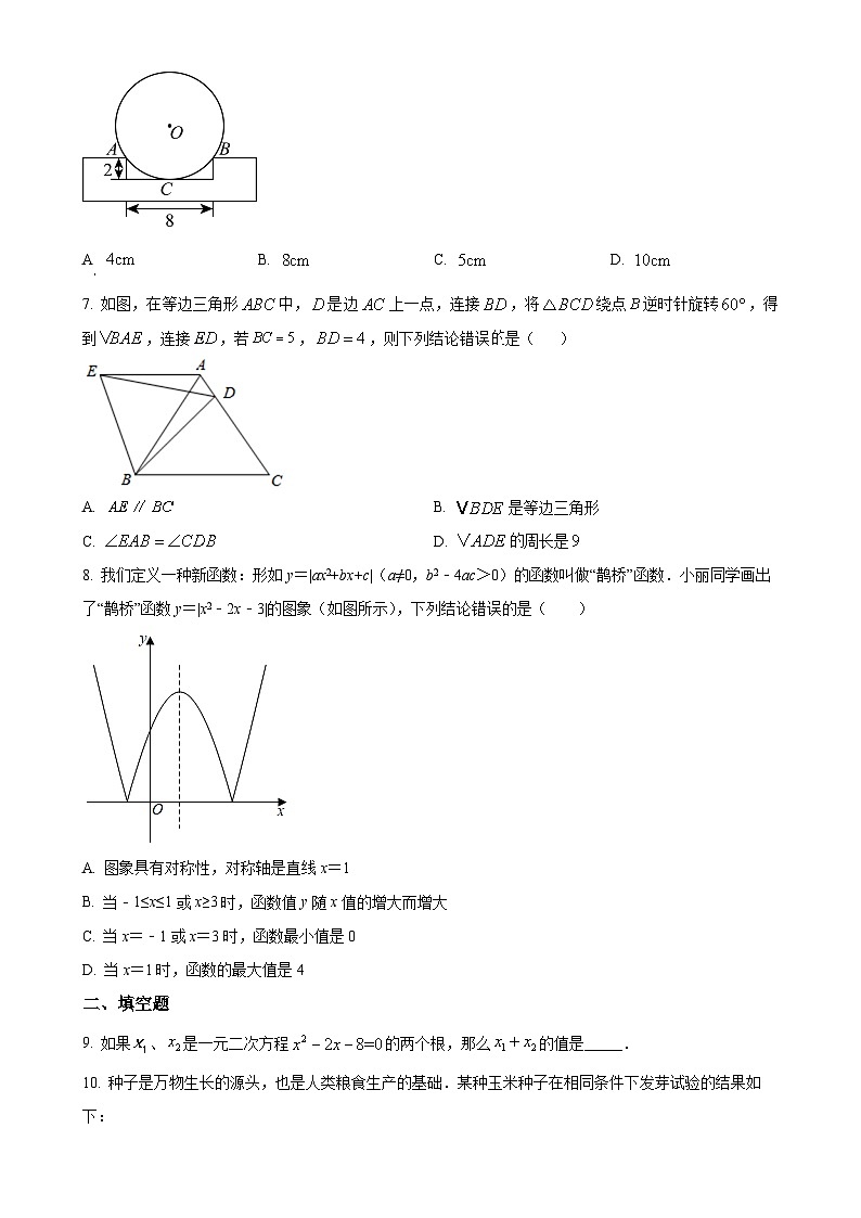 山东省滨州市邹平市礼参初级中学　2024-2025学年九年级上学期期中考试数学试卷（原卷版）-A4第2页