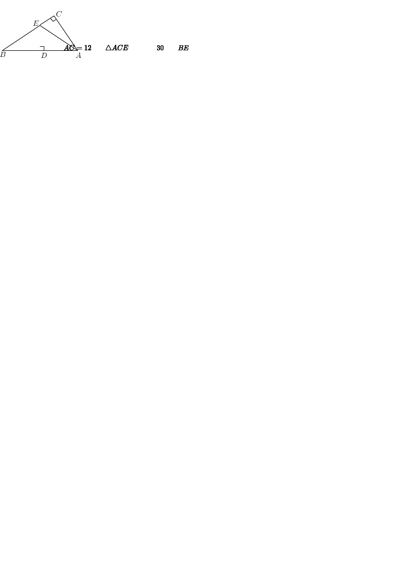 【天河区】18-19学年八年级上学期期末数学试卷（含答案）第3页