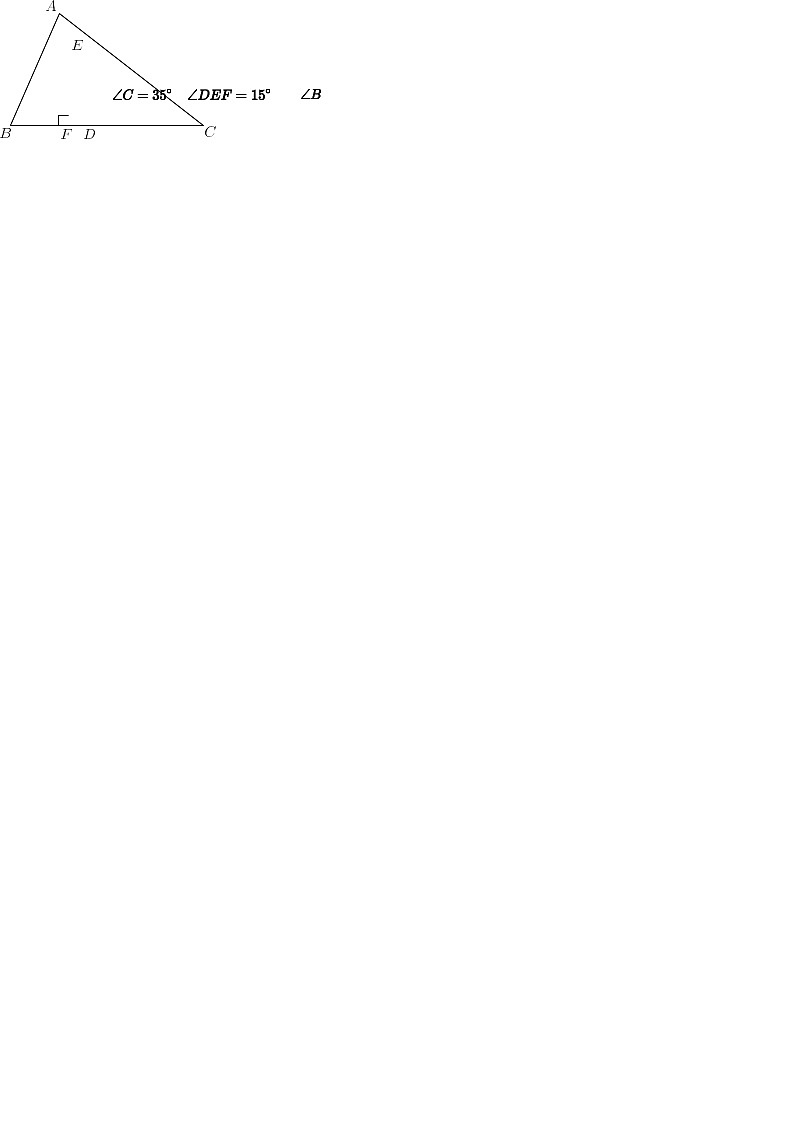 【中大附】18-19学年八年级上学期期末数学试卷（含答案）第3页