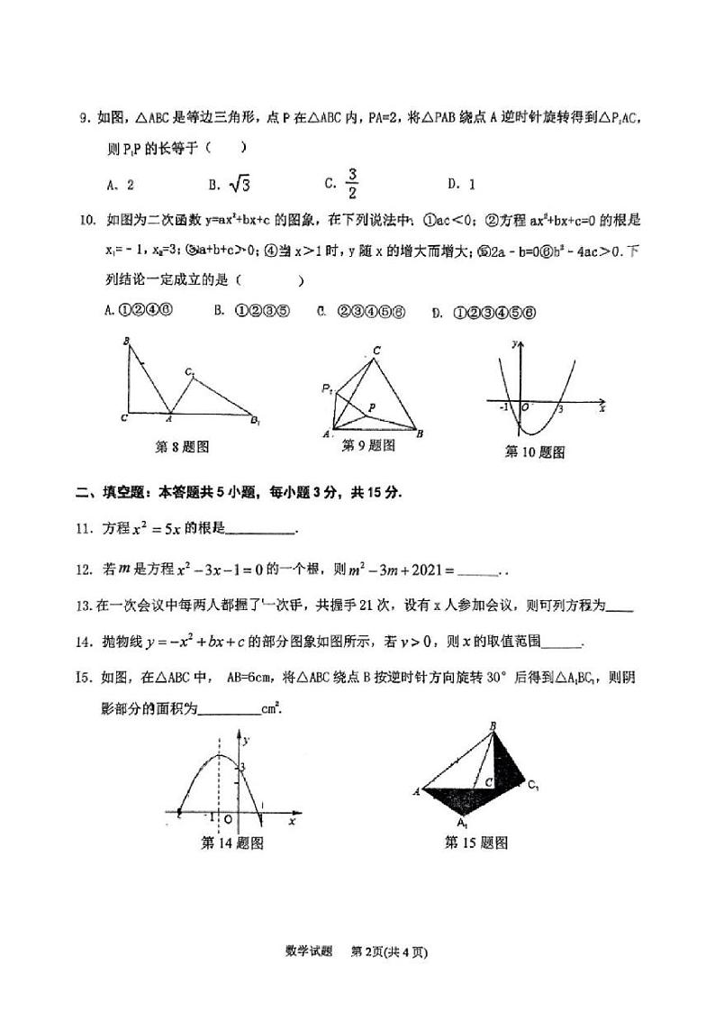 广东省江门市新会区陈经纶中学2024-2025学年九年级上学期期中考试数学试题第2页