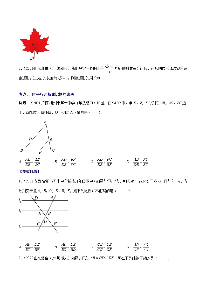 北师大版数学九上期末重难点培优训练专题09 成比例线段、平行线分线段成比例(原卷版)第3页