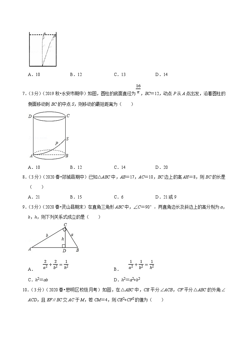 沪科版数学八下期末重难点训练专题2.3 勾股定理（原卷版）第3页