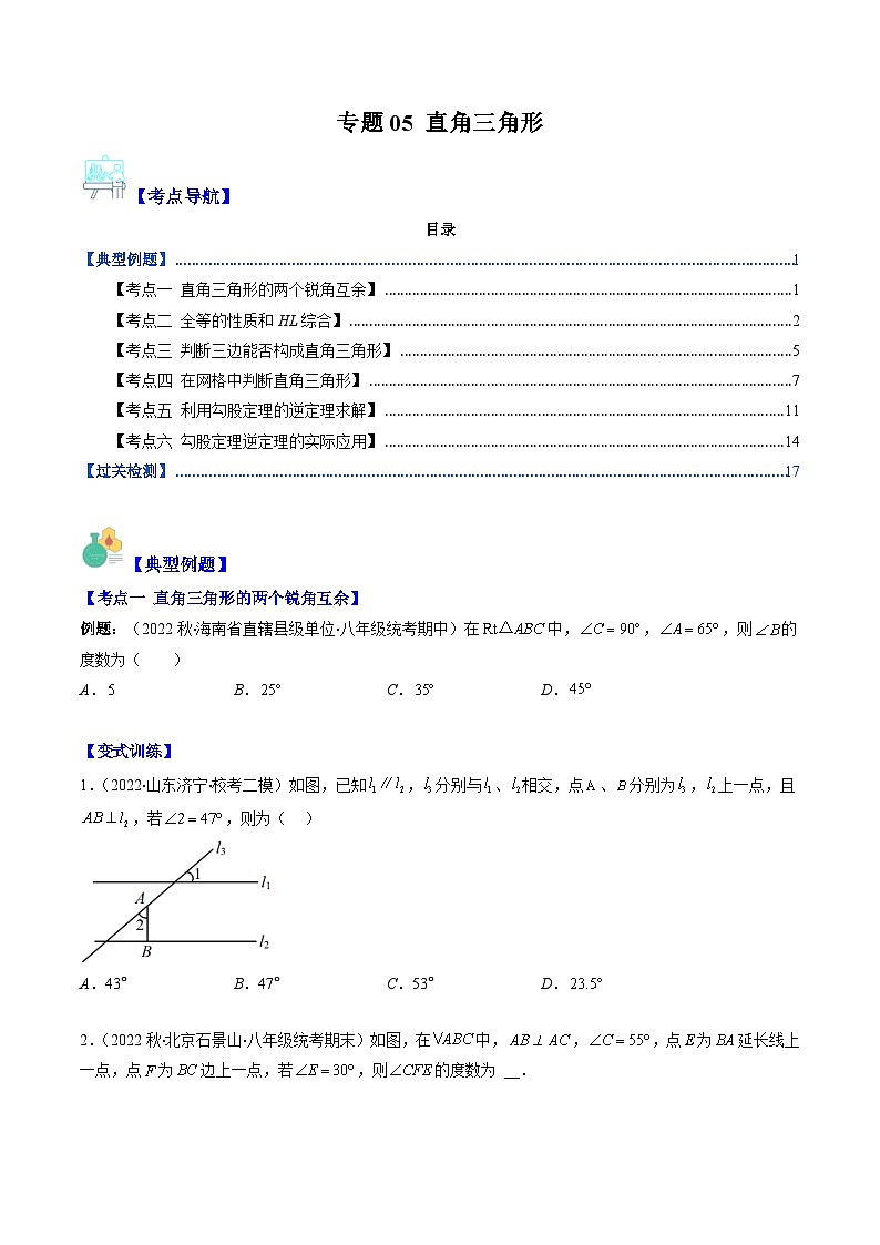 北师大版数学八下期末重难点培优训练专题05 直角三角形(原卷版)第1页
