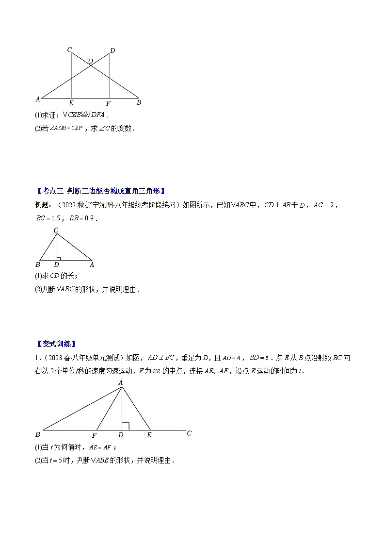 北师大版数学八下期末重难点培优训练专题05 直角三角形(原卷版)第3页