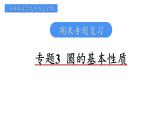 专题3  圆的基本性质 课件2024-2025学年浙教版数学九年级上学期期末专题复习