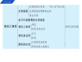 专题4  相似三角形 课件2024-2025学年浙教版数学九年级上学期期末专题复习