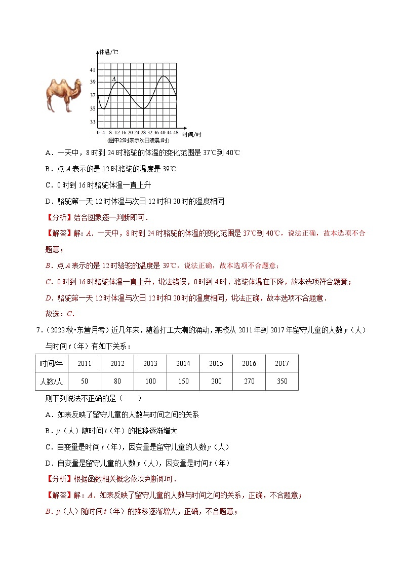 人教版数学八下培优训练专题19.1函数（重难点）（解析版）第3页