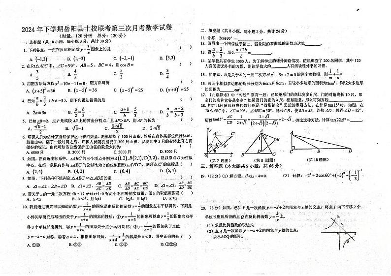 湖南省岳阳市岳阳县(十校联考)2024-2025学年九年级上学期12月月考数学试题第1页