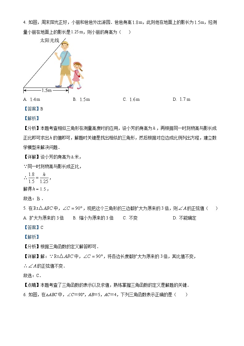精品解析：山东省聊城市阳谷县2024—2025学年上学期期中考试九年级数学试题（解析版）-A4第3页