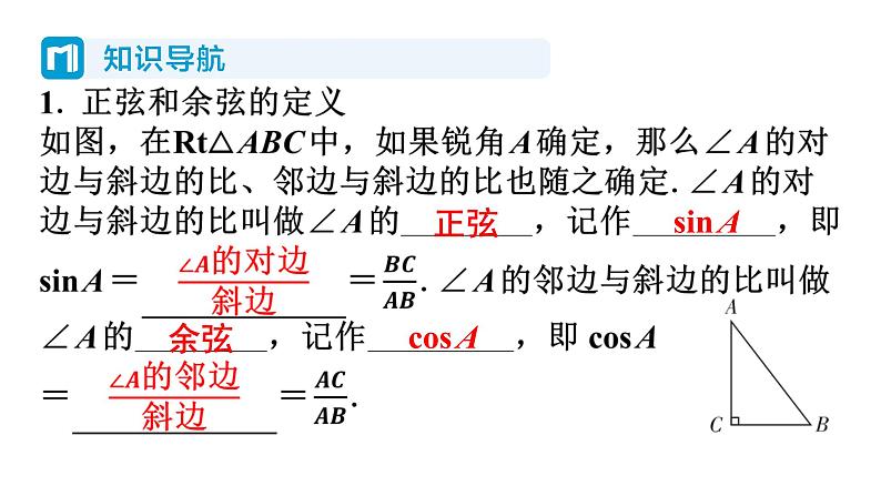 1.1 锐角三角函数 第2课时 正弦和余弦 北师大版数学九年级下册习题课件第2页