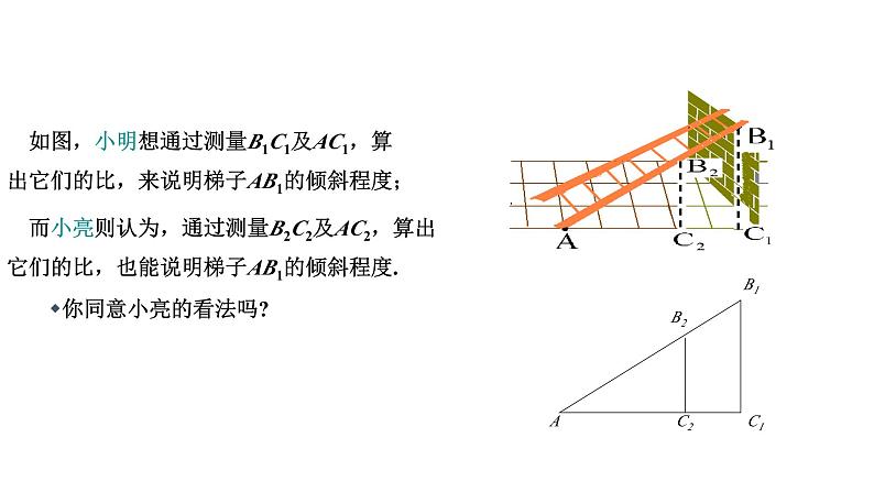 1.1 锐角三角函数（1）北师大版数学九年级下册课件第8页