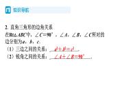 1.4 解直角三角形 北师大版数学九年级下册习题课件