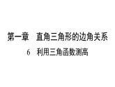 1.6 利用三角函数测高 北师大版数学九年级下册习题课件