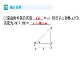 1.6 利用三角函数测高 北师大版数学九年级下册习题课件