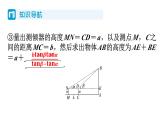 1.6 利用三角函数测高 北师大版数学九年级下册习题课件