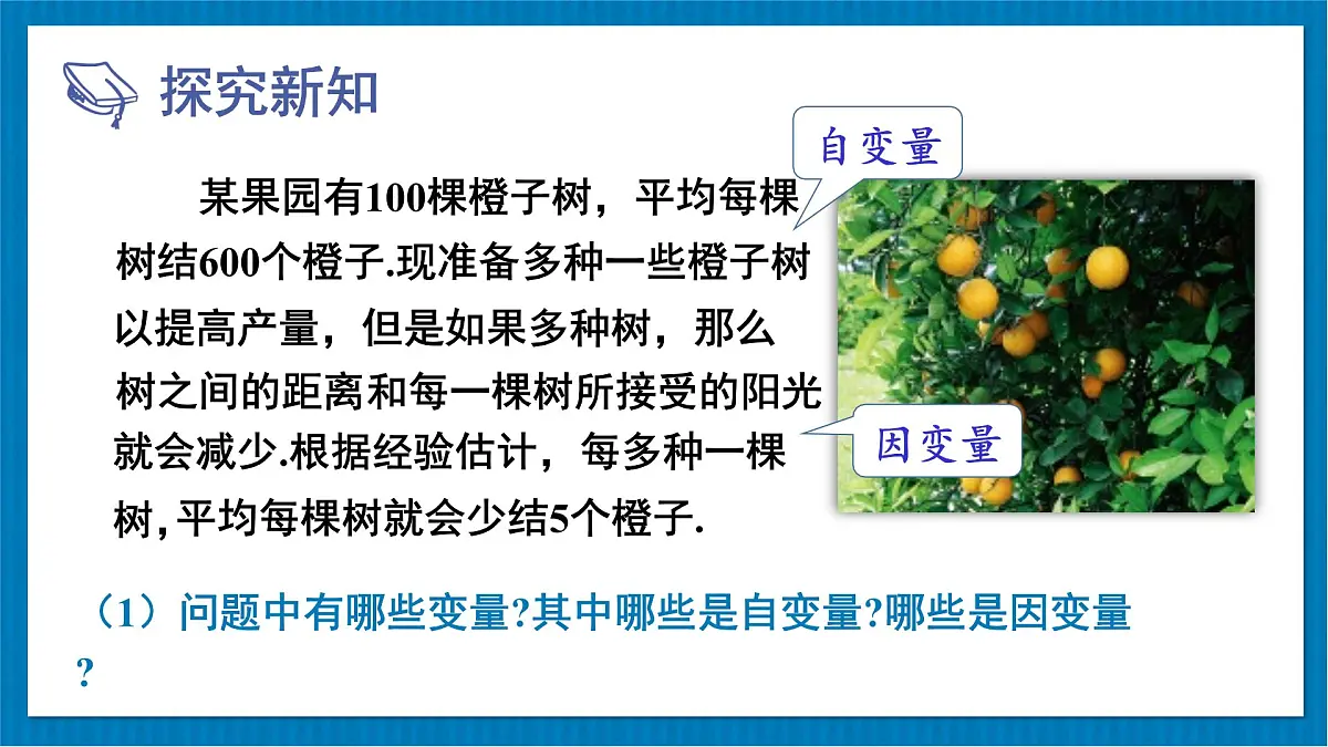 2.1 二次函数 初中数学北师版九年级下册课件2第5页