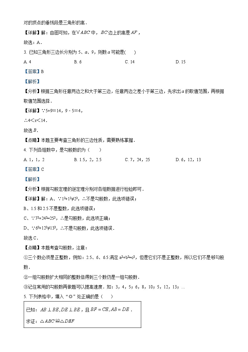 山东省泰安市高新区2024-2025学年七年级上学期期中考试数学试卷（解析版）-A4第2页