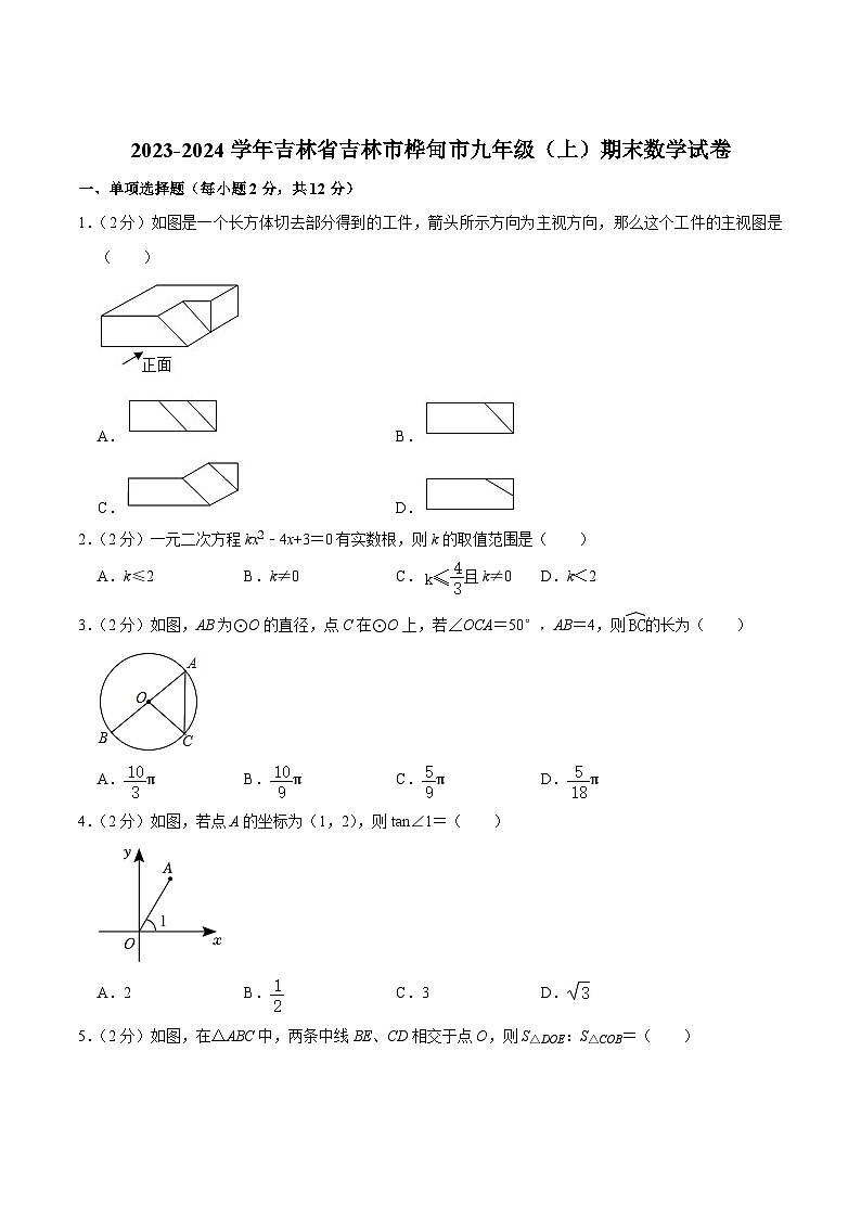 吉林省吉林市桦甸市2024届九年级上学期期末考试数学试卷(含解析)第1页