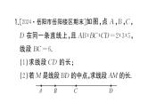 初中数学新湘教版七年级上册期末专练三 与线段、角有关的计算作业课件2024秋