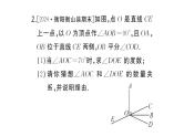 初中数学新湘教版七年级上册期末专练三 与线段、角有关的计算作业课件2024秋