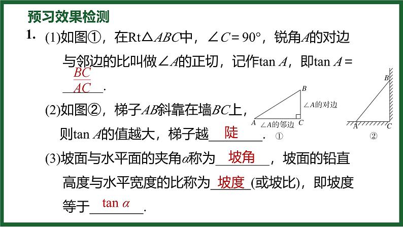 1.1.1 正切 北师大版数学九年级下册预习导学课件第5页