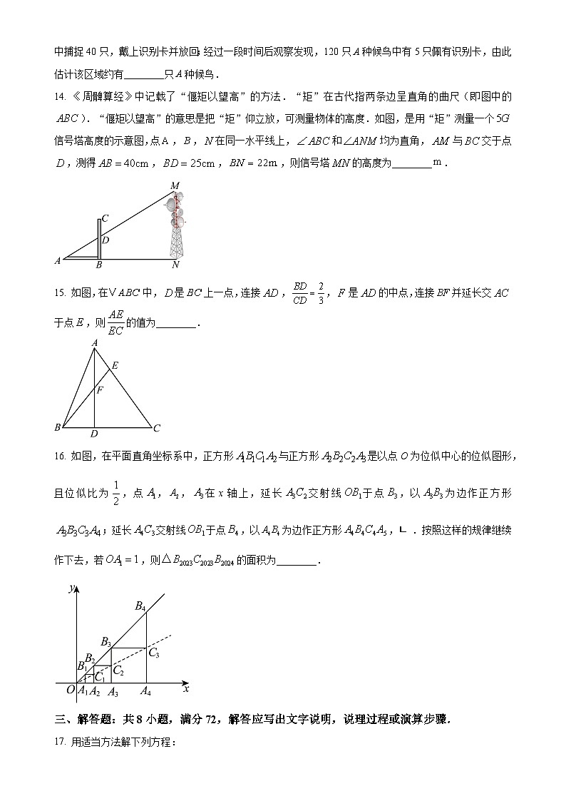 山东省枣庄市滕州市2024-2025学年九年级上学期11月期中数学试题（原卷版）-A4第3页