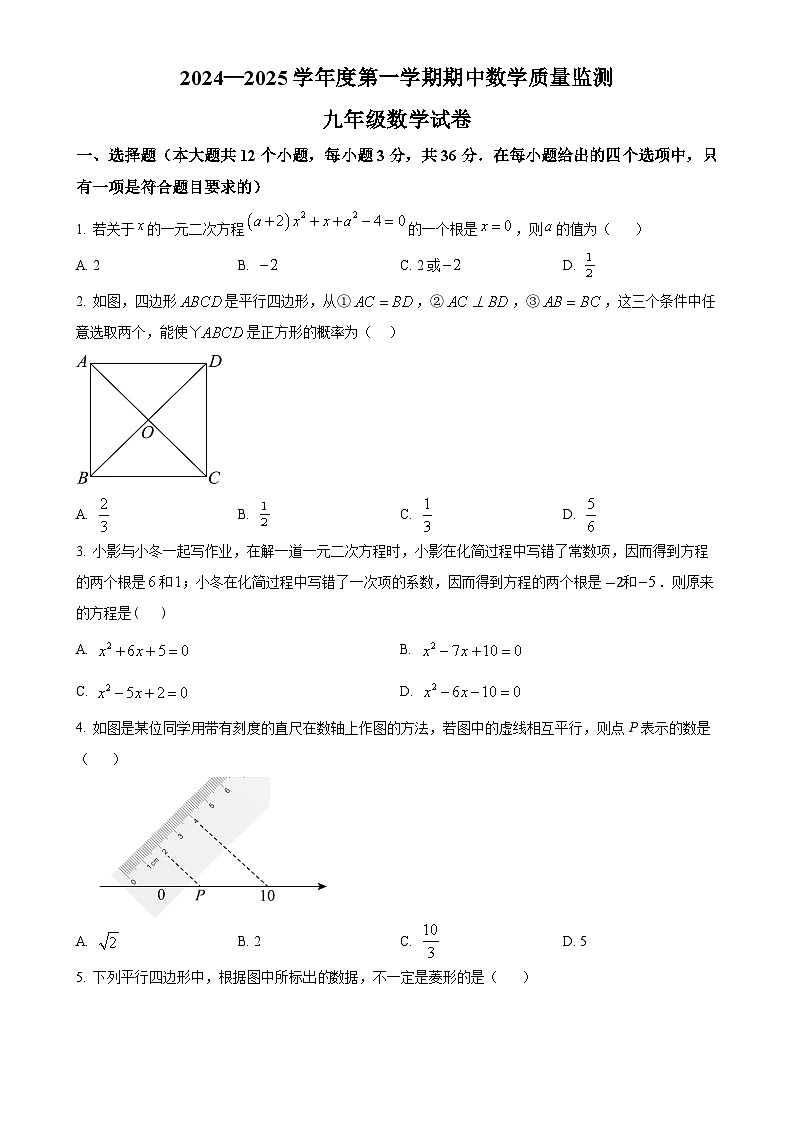 河北省保定市安国市2024-2025学年九年级上学期期中数学试题（原卷版）-A4第1页